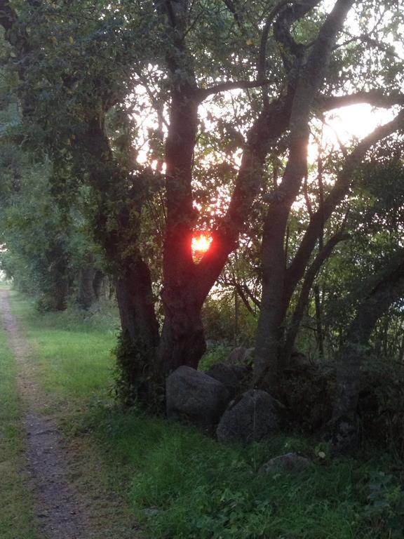 Paradiset Oestra Oeland Nedra Sandby Εξωτερικό φωτογραφία